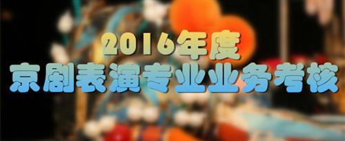 动漫操大吊国家京剧院2016年度京剧表演专业业务考...